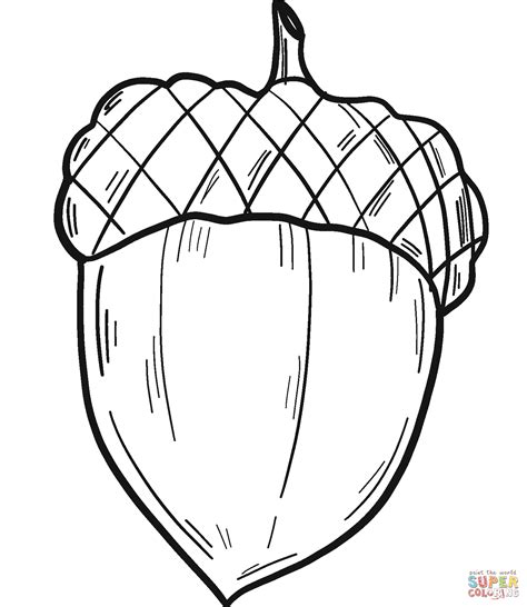 acorn coloring pages free printable|acorn coloring sheets printable.